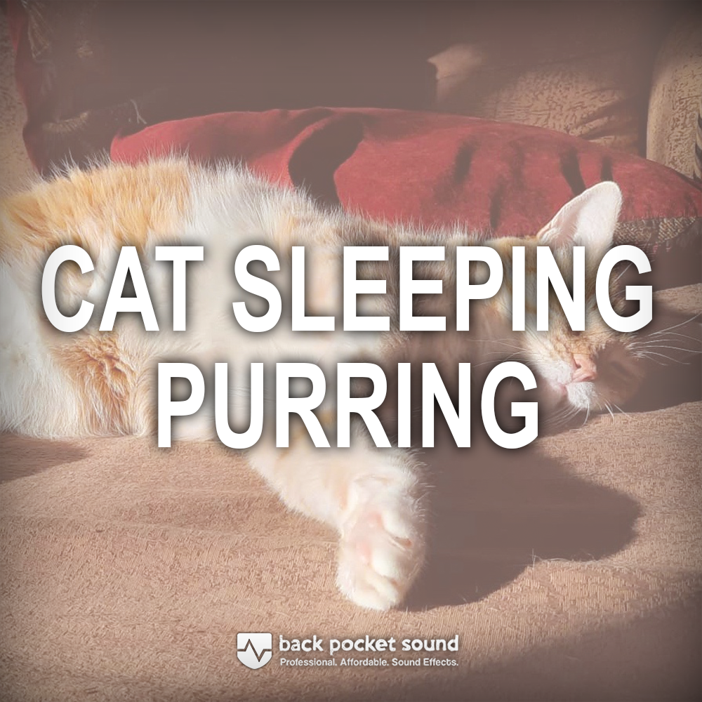 BPS Cat Sleeping Purring HD Sound Effect