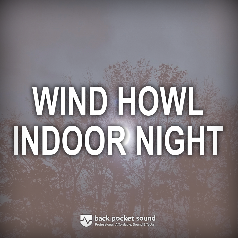 BPS Wind Howl - Nighttime Indoors HD Sound Effect